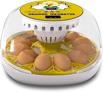 Egg Incubator for Hatching Chicks, 12-24 Egg Incubators with Auto Turning, Automatic Water Top-up, Fahrenheit Display, 360° View Poultry Incubator for Hatching Chicken Duck Quail Parrot